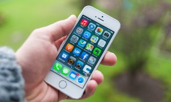 Aliquam erat volutpat